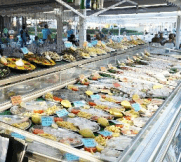 Mercado de pescado Costa Blanca